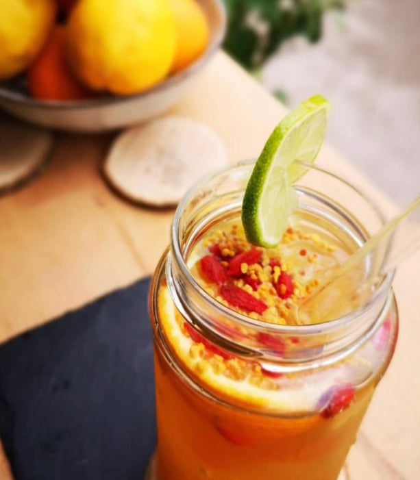 Unser Magucha Kombucha