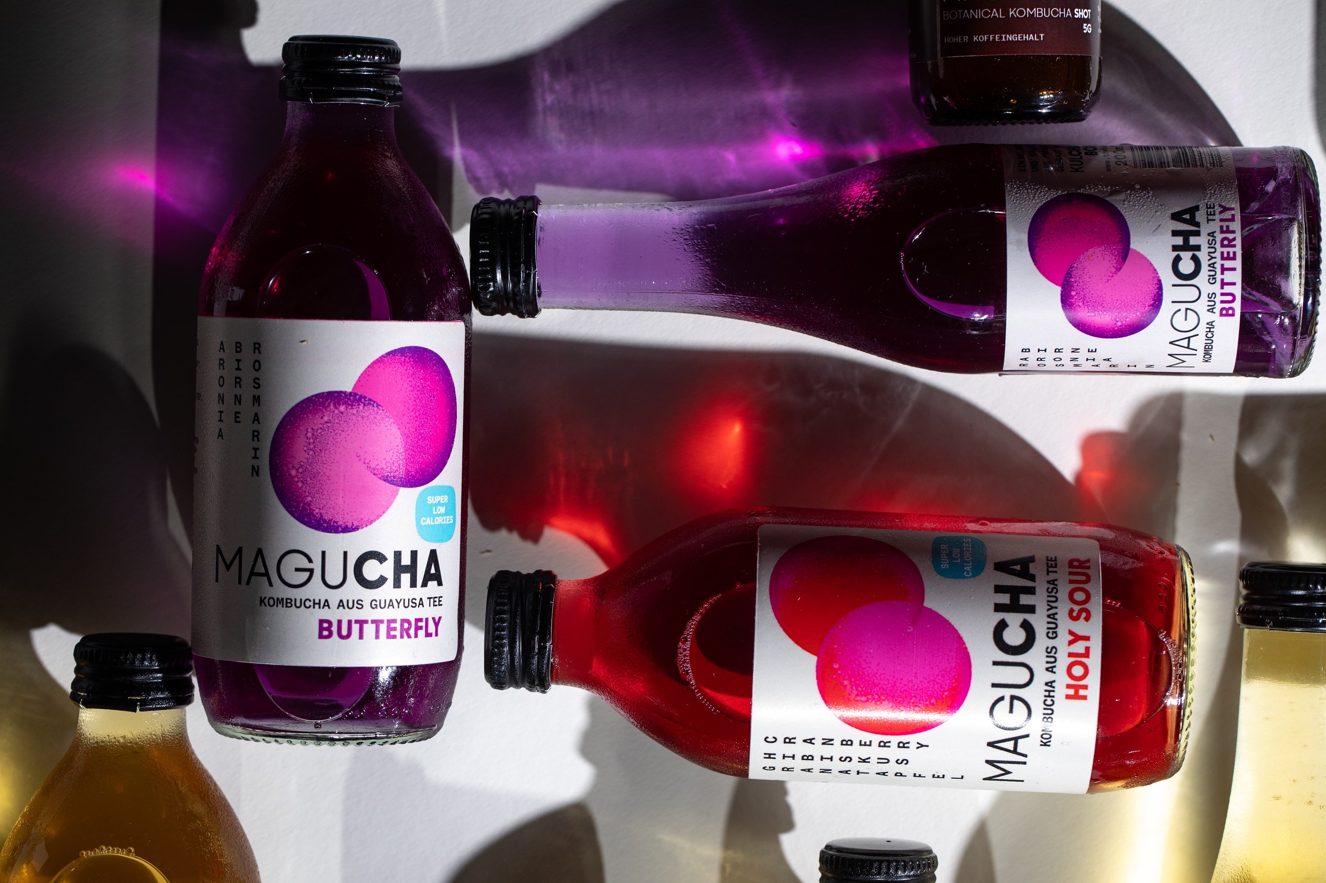 Handwerk & Wissenschaft