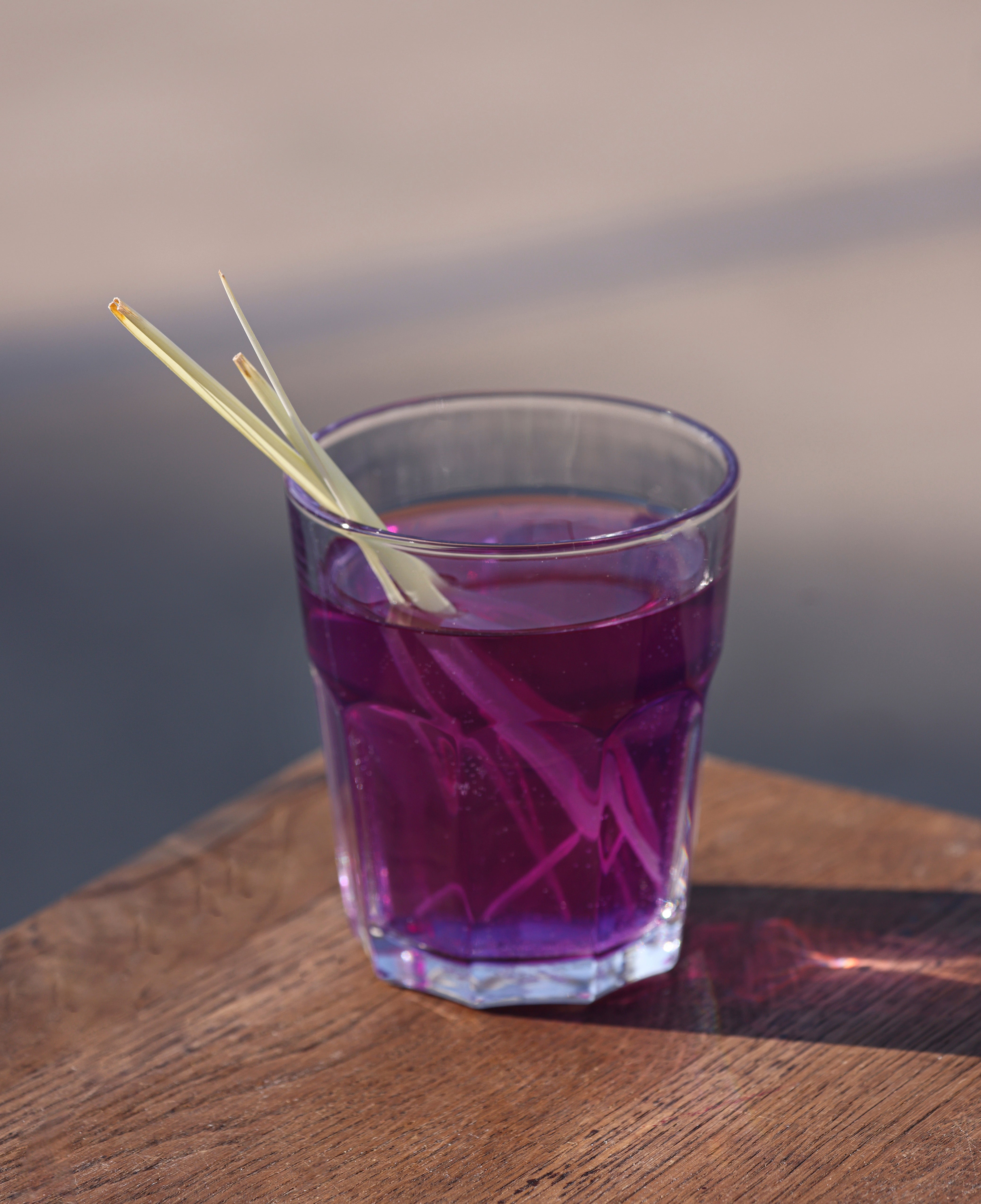 Magucha Kombucha Butterfly